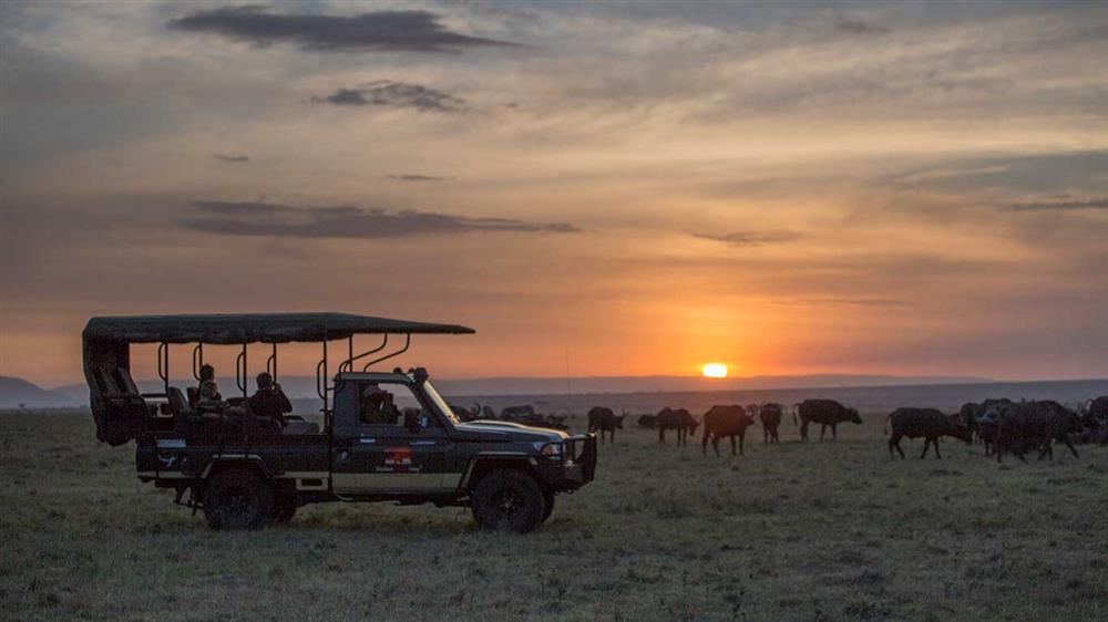 Elephant Pepper Camp